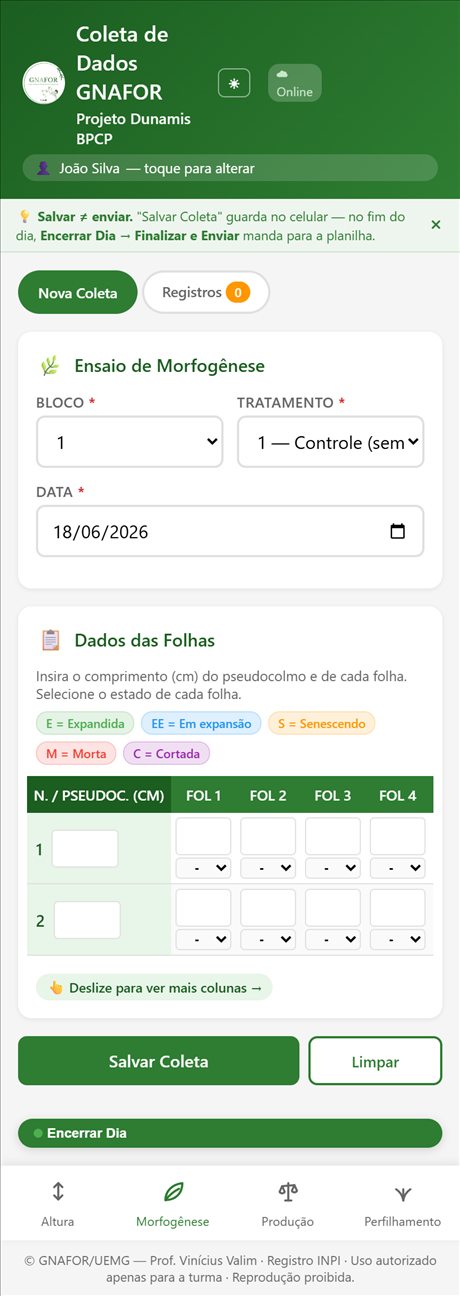 Aba de morfogênese, com comprimento de pseudocolmo e estado de cada folha