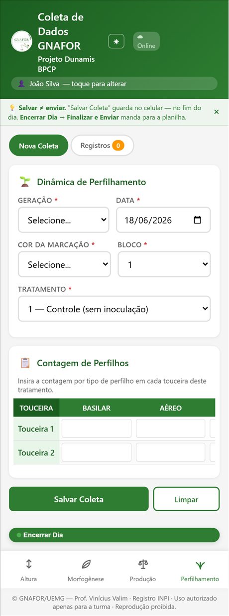 Aba de perfilhamento