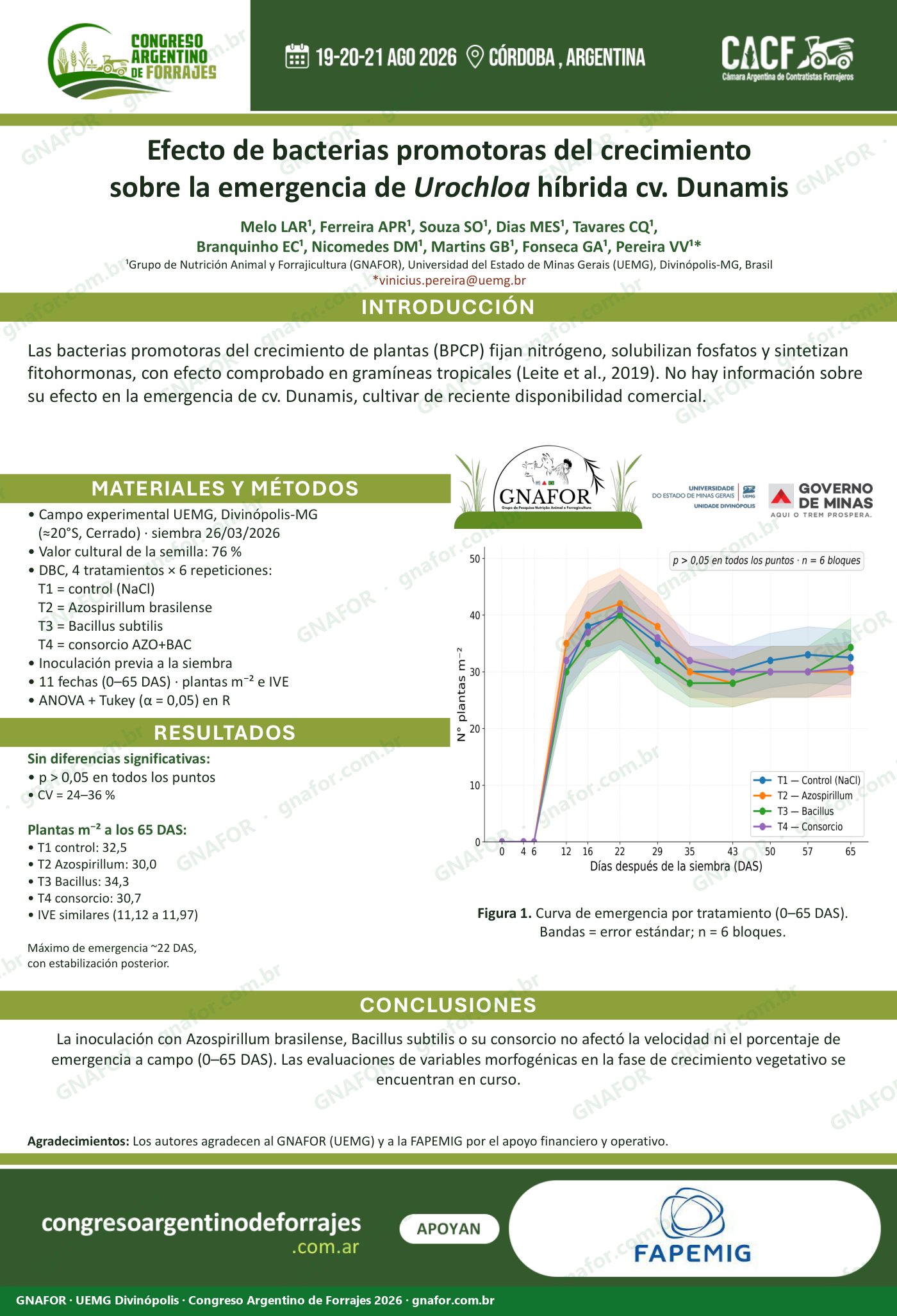Efecto de bacterias promotoras del crecimiento sobre la emergencia de Urochloa híbrida cv. Dunamis