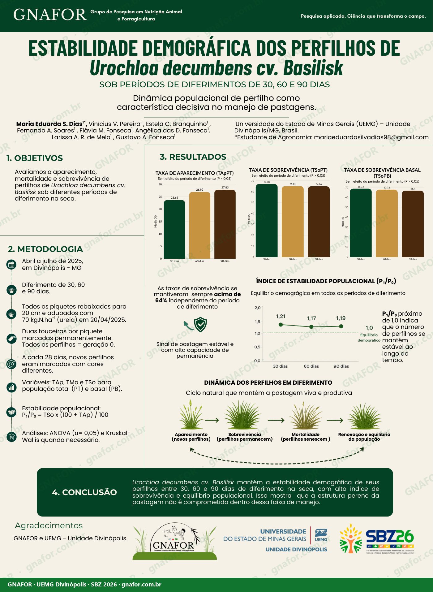 Estabilidade demográfica dos perfilhos de Urochloa decumbens cv. Basilisk sob períodos de diferimento de 30, 60 e 90 dias